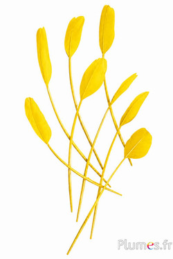 Rispe Schwan Seide - 25-30 cm - gelb